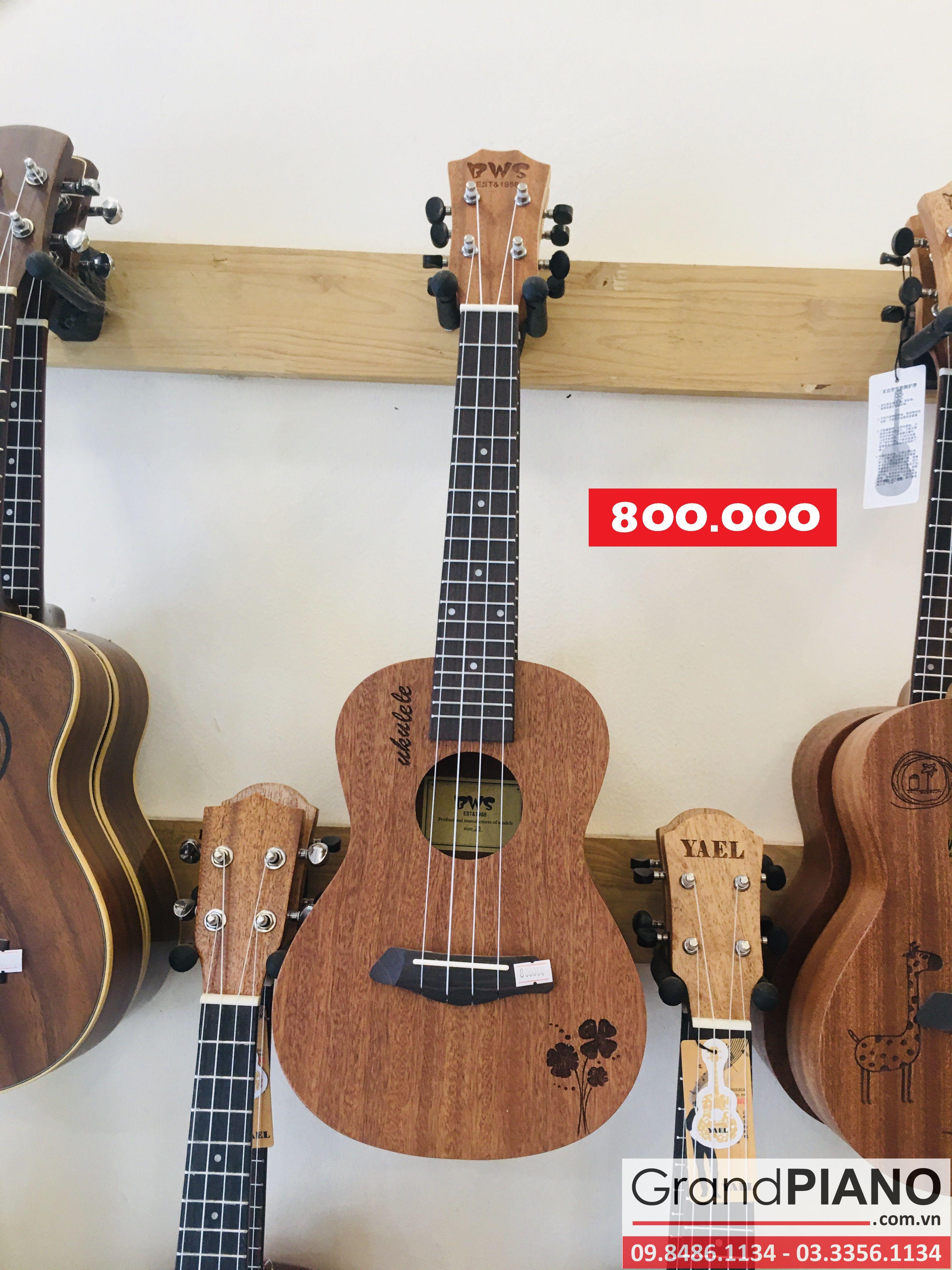 Đàn Ukulele size 23" - 20 - 800.000 